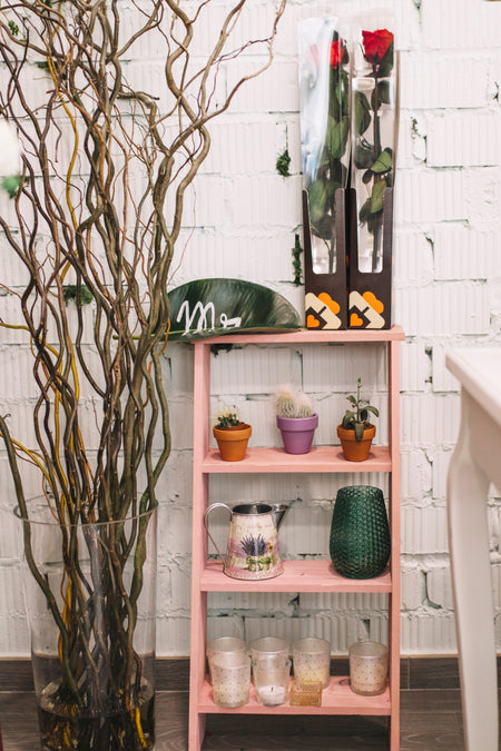 Home Essentials